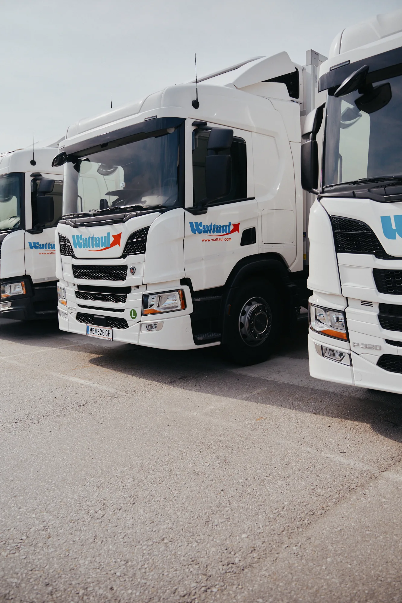 Wattaul-Kühltransporter am Betriebsstandort